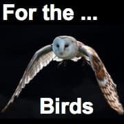 For the Birds